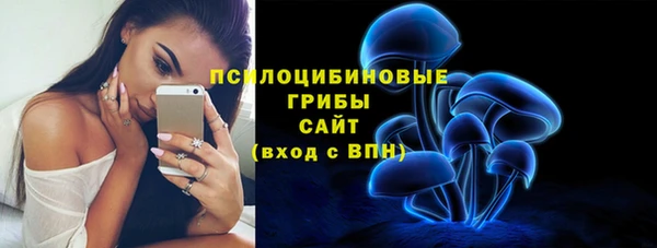мдма Медногорск