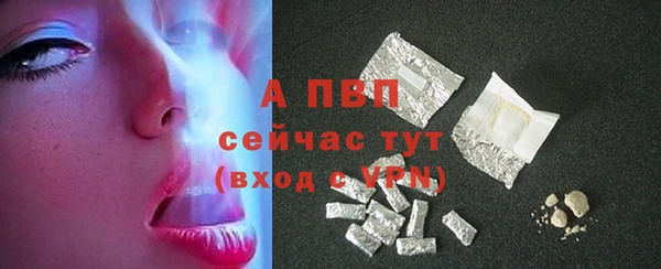 ECSTASY Медвежьегорск