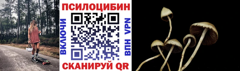 Псилоцибиновые грибы MAGIC MUSHROOMS  Шиханы 